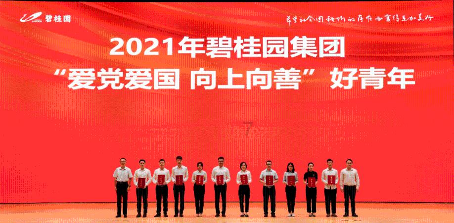 迷你汽车记忆卡